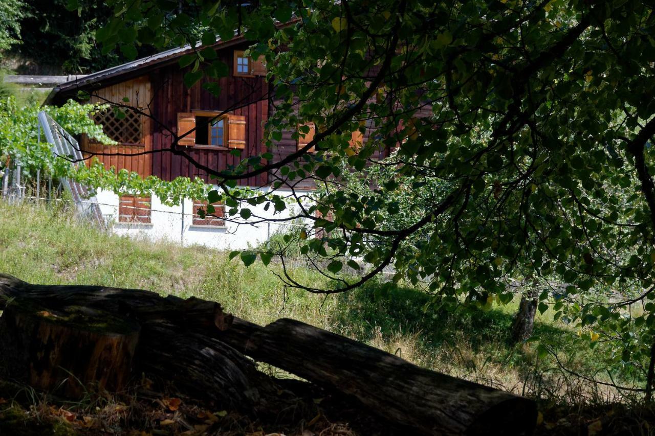 Landhaus Tenne Bartholomäberg Eksteriør billede