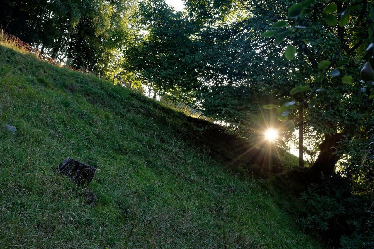 Landhaus Tenne Bartholomäberg Eksteriør billede